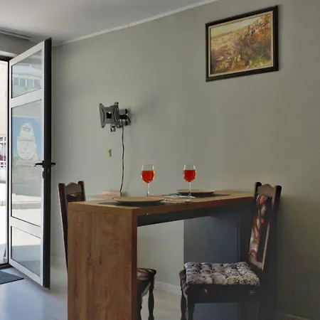 Cozy Near The Park With Huge Verandah. Apartment Veliko Tarnovo