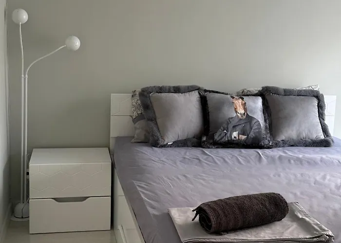 Cozy Near The Park With Huge Verandah Free Parking *